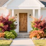 9 Ways a Simple Heuchera Plant Can Transform Your Front Yard